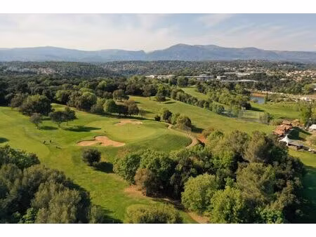 terrain plat et verdoyant