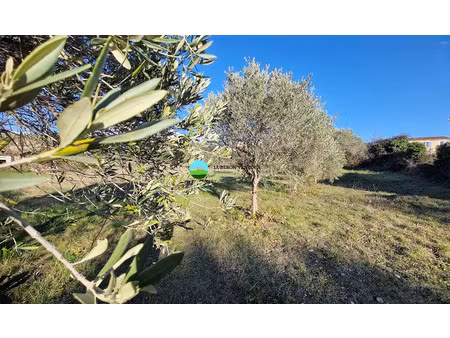 vente terrain 458 m² à caromb (84330)  129 000 €