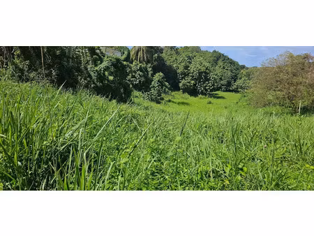 vente terrain à batir 915 m² à les abymes (97139)  110 000 €