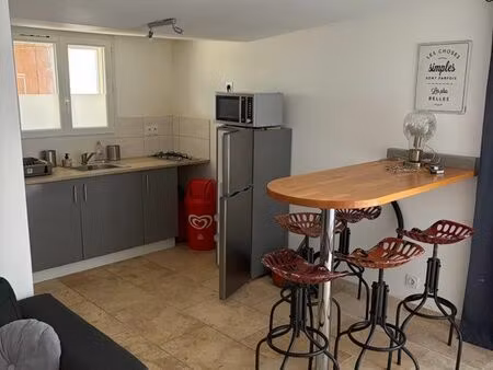 appartement t3 en camargue dans un mas avec terrasse