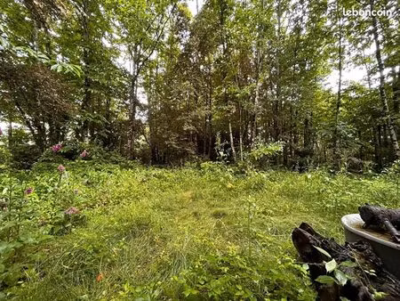 terrain 2 352 m² ladignac le long