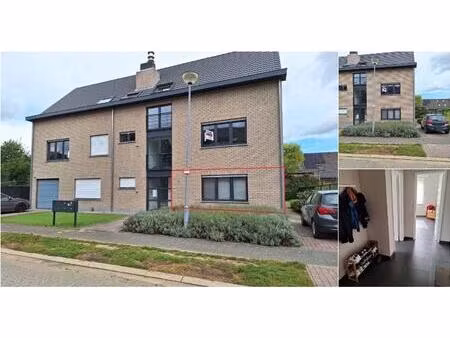 rez-de-chaussée à louer à ijsselsteinstraat 1 herentals (rbv17248)