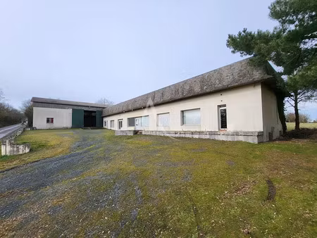vente locaux professionnels 8 pièces 1035 m² à pierric (44290)  110 000 €