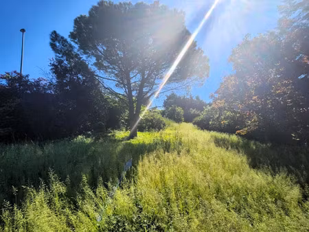 vente terrain 570 m² à millery (69390)  265 000 €