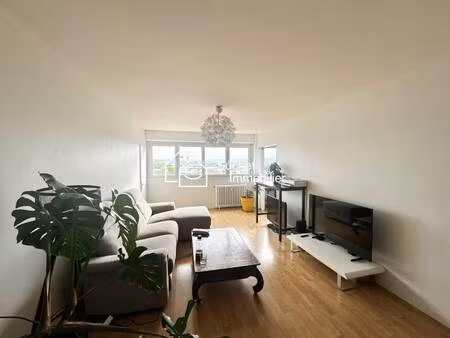 suchet immobilier