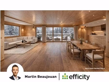 efficity martin beaujouan