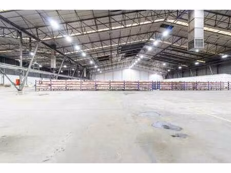 saint-roch | entr. 8.431 m² + bur. 200 m² + terrain 78 ares