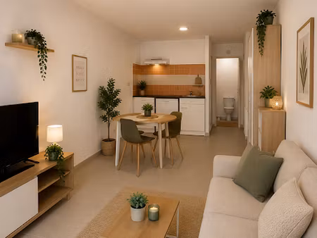 location appartement 1 pièce 39 m² à bram (11150)  350 €