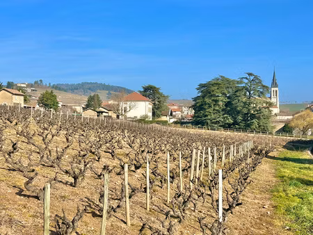superbe maison ancienne renovee dans un parc clos de murs