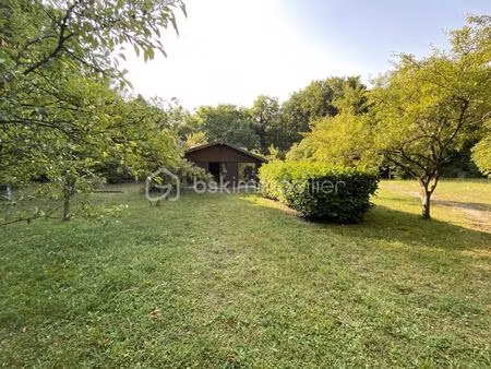 chalet en pleine nature