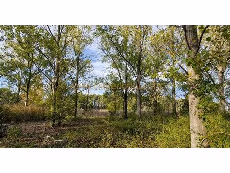 ref 9986- vente a terme libre - marsillargues (34)