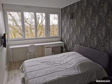 chambre de 13m² lumineuse – parc de la gaudinière / pont du cens