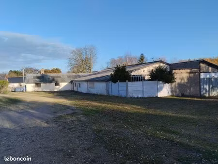 grand local à louer