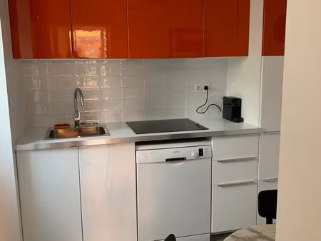 loue t1 bis meublé – 24 7 m2 toulouse quartier guilhemery