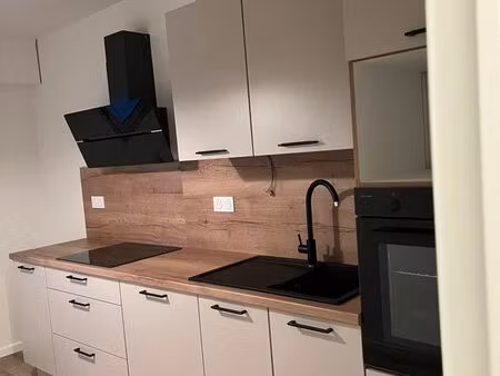 grand t2 de 56m2   refait à neuf  centre ville