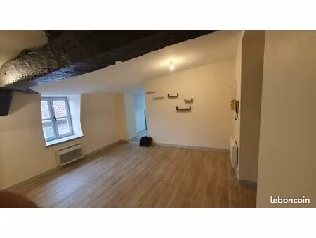 t1bis 31m2 mâcon centre