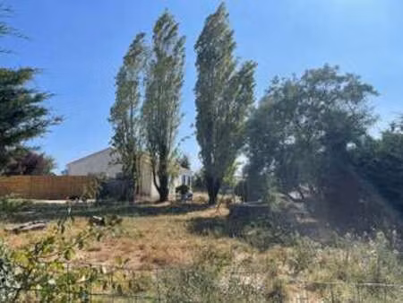 vente terrain à givrand (85800) : à vendre / 392m² givrand