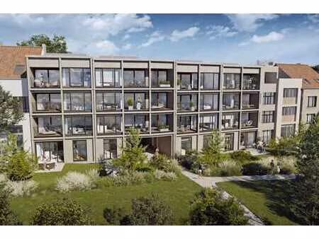 cimetière d'ixelles : peb a+ et beau jardin commun !