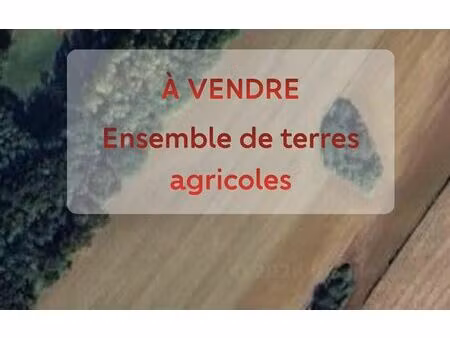 terrain ozenx-montestrucq m² t- à vendre  156 000 €