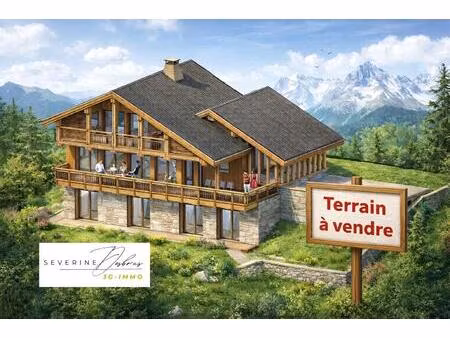 terrain constructible