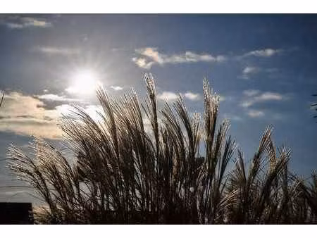 bouwgrond voor alleenstaande woning met plat dak