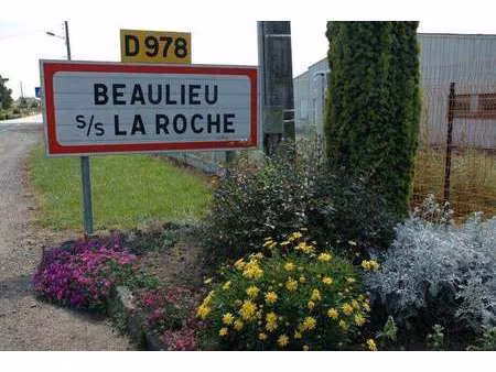 vente terrain à beaulieu-sous-la-roche (85190) : à vendre / beaulieu-sous-la-roche