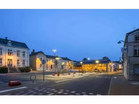 vente terrain à benet (85490) : à vendre / benet