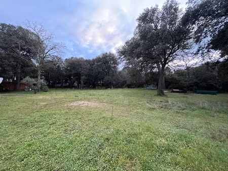 projet de rénovation  maison mitoyenne avec jardin privatif ? orange