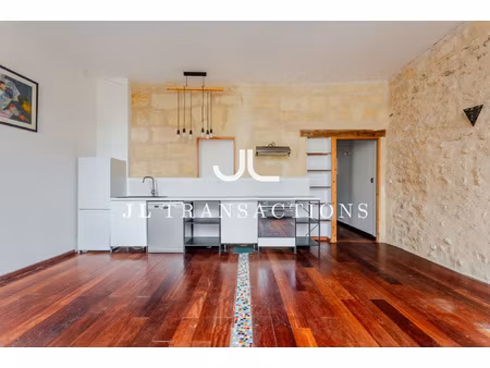 location grand t2 avec vue sur la basilique saint-michel