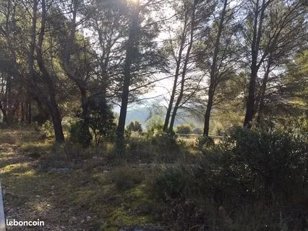 terrain 602 m² salernes