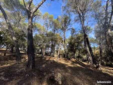 terrain 3005 m² lorgues