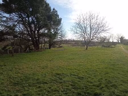 vente terrain à montfaucon-montigné (49230) : à vendre / montfaucon-montigné
