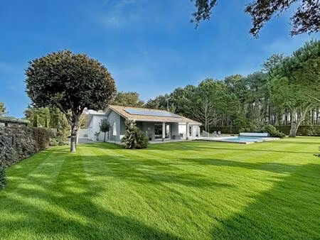 maison sans vis-à-vis à vendre à messanges – en lisière de forêt  au calme absolu