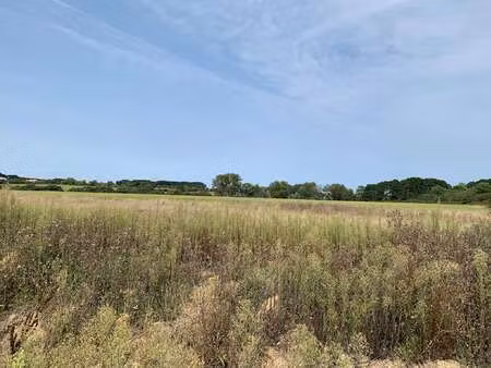 vente terrain à givrand (85800) : à vendre / givrand