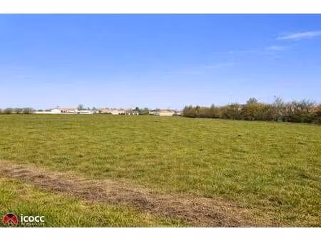 vente terrain à luçon (85400) : à vendre / 11182m² luçon