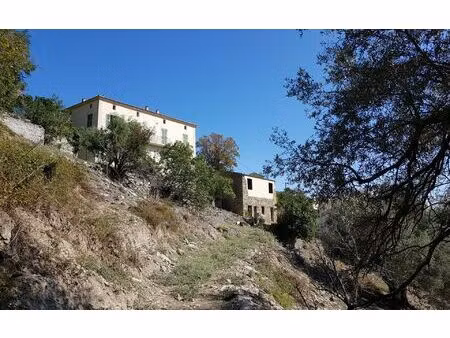 maison santo-pietro-di-tenda 203 m² t-8 à vendre  990 000 €