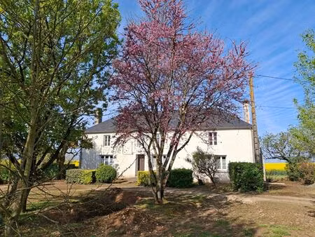 maison mouzeuil saint martin 8 pièce(s) 250 m2