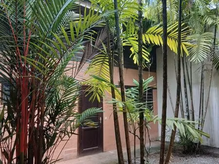 t2 meublé dans un environnement arboré