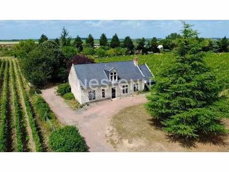 vente maison à doué-en-anjou (49700) : à vendre / 135m² doué-en-anjou