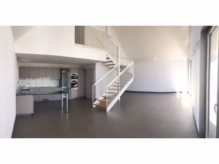 duplex d’exception 155 m² – prestations haut de gamme – hagenthal-le-bas  frontière suisse