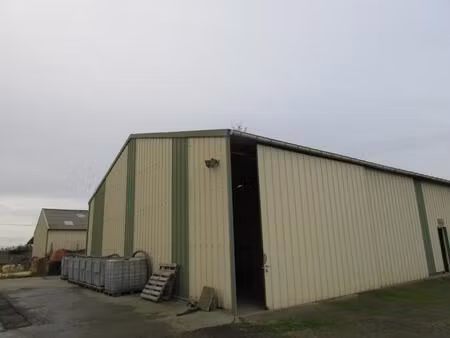 local professionnel à usage de stockage