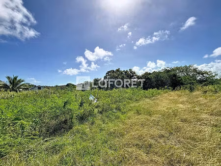 terrain de 1088m2 situé à anse bertrand secteur campèche