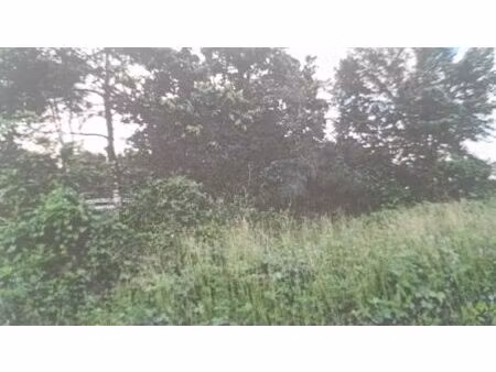 terrain constructible exceptionnel de 9520 m² avec 4000 m² con