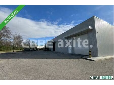 vente local d'activités bourgoin-jallieu 1 285 m²