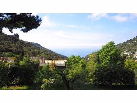 achat : terrain (06320)