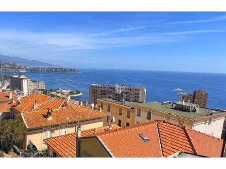 maison jumelée limitrophe monaco  vue mer