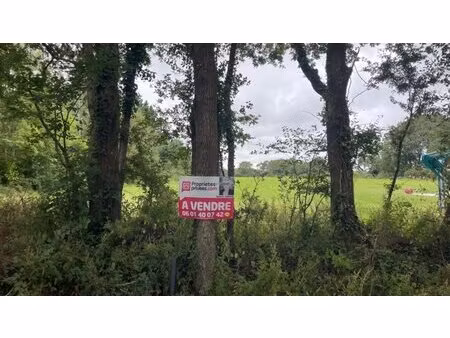 en vente terrain constructible 47 14 ares – 210 059 € |saint-lyphard