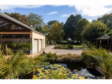 kantoor te koop in ninove