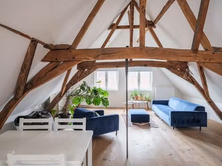 bijzondere opbrengsteigendom bestaande uit een dakappartement en drie afzonderlijke kamers