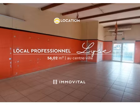 à louer local professionnel / commercial zac de damencou